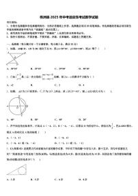 株洲县2025年中考适应性考试数学试题含解析