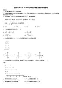 黄冈市武穴市2025年中考数学最后冲刺浓缩精华卷含解析
