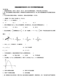 河南省南阳市邓州市2025年中考数学模拟试题含解析