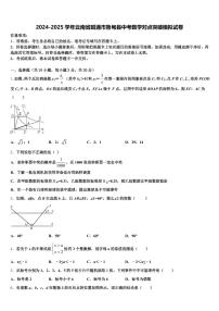 2024-2025学年云南省昭通市鲁甸县中考数学对点突破模拟试卷含解析