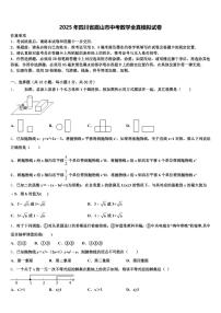 2025年四川省眉山市中考数学全真模拟试卷含解析