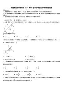 湖南省衡阳市雁峰区2024-2025学年中考适应性考试数学试题含解析