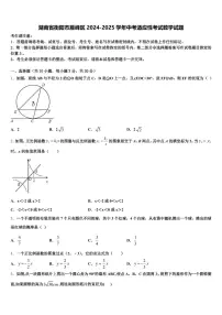 湖南省衡阳市雁峰区2024-2025学年中考适应性考试数学试题含解析