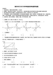 格尔木市2025年中考适应性考试数学试题含解析