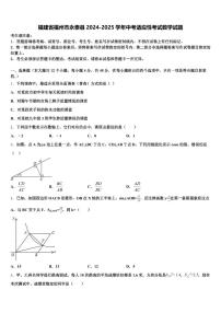 福建省福州市永泰县2024-2025学年中考适应性考试数学试题含解析