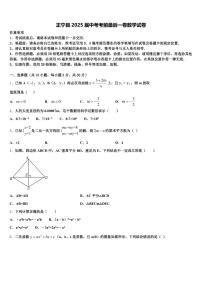 正宁县2025届中考考前最后一卷数学试卷含解析
