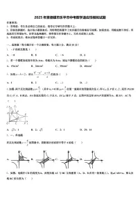 2025年景德镇市乐平市中考数学适应性模拟试题含解析