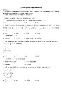 2025年常宁市中考五模数学试题含解析