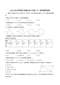 浙江省温州市2023-2024学年八年级下学期期末考试数学试卷(含答案)