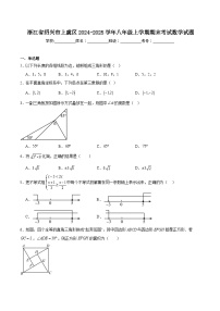 浙江省绍兴市上虞区2024-2025学年八年级上学期期末考试数学试卷(含解析)