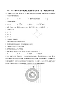 上海市奉贤区部分学校2023-2024学年七年级下学期期末考试数学试卷(含答案)