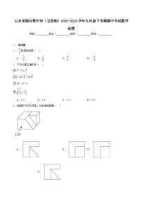 山东省烟台市莱州市（五四制）2024届九年级下学期4月期中考试数学试卷(含解析)