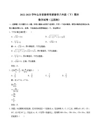 山东省泰安市新泰市（五四制）2022-2023学年八年级下学期期末考试数学试卷(含解析)