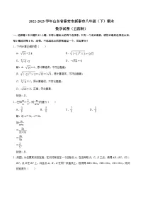 山东省泰安市新泰市（五四制）2022-2023学年八年级下学期期末考试数学试卷(含解析)