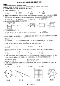 【9数三模】2025年安徽省合肥市四十五中本部中考三模数学试卷（含答案）