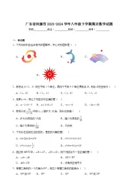 广东省河源地区2023-2024学年八年级下学期期末考试数学试卷(含解析)