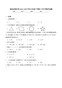 湖北省荆州市2025届九年级下学期3月月考数学试卷(含解析)
