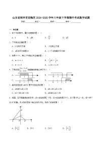 山东省菏泽市定陶区2024-2025学年八年级下学期期中考试数学试卷(含解析)