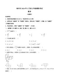 2024年安徽省亳州市中考二模数学试题