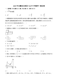 2025年安徽省合肥市第四十五中学九年级中考数学一模试卷