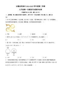 2025年安徽省芜湖市中考第一次模拟考试数学试卷