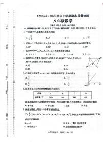 河南省许昌市禹州市2024-2025学年8年级下学期期末数学试题（无答案）