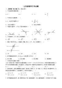 黑龙江省绥化市2024-2025学年七年级上学期12月月考数学试题