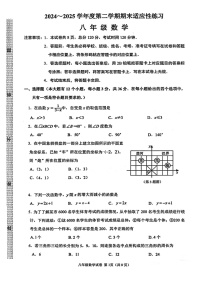 2024-2025学年石家庄市桥西区八下期末数学试卷
