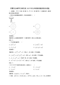 内蒙古赤峰市巴林左旗2025年九年级模拟检测数学试卷（解析版）