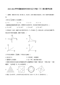 【初二数学期末】福建省泉州市洛江区2023-2024学年八年级下学期期末考试数学试卷(含答案)