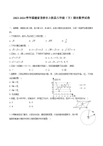 【初二数学期末】福建省龙岩市上杭县2023-2024学年八年级下学期期末考试数学试卷(含答案)