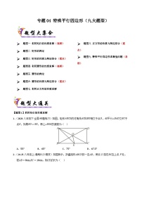八年级数学期末专项练习专题04 特殊平行四边形-2024-2025学年八年级数学下学期期末考点大串讲（华东师大版）