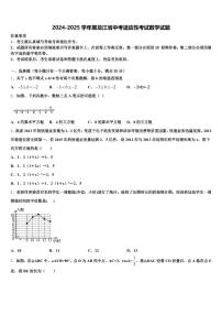 2024-2025学年黑龙江省中考适应性考试数学试题含解析