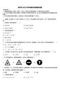 漳平市2025年中考数学全真模拟试题含解析