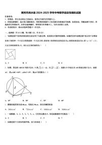 黄冈市浠水县2024-2025学年中考数学适应性模拟试题含解析