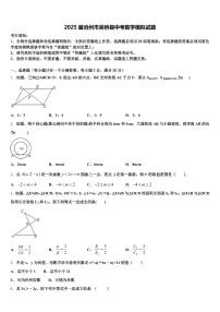2025届沧州市吴桥县中考数学模拟试题含解析