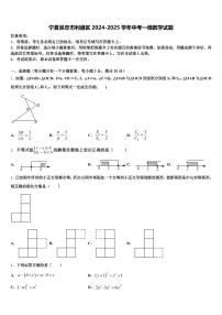 宁夏吴忠市利通区2024-2025学年中考一模数学试题含解析