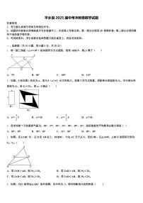 平乡县2025届中考冲刺卷数学试题含解析