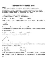 辽阳市辽阳县2025年中考数学最后一模试卷含解析