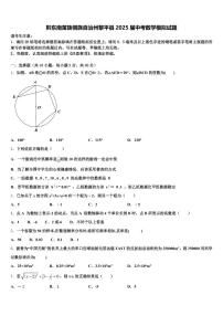黔东南苗族侗族自治州黎平县2025届中考数学模拟试题含解析