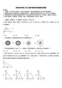济南市市中区2025届中考数学考试模拟冲刺卷含解析