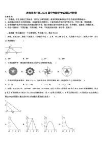 济南市市中区2025届中考数学考试模拟冲刺卷含解析