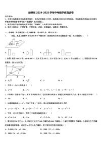 新界东2024-2025学年中考数学仿真试卷含解析