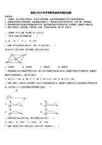 临县2025年中考数学适应性模拟试题含解析
