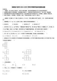 安徽省六安市2024-2025学年中考数学适应性模拟试题含解析
