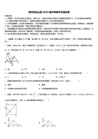 宝鸡市岐山县2025届中考数学五模试卷含解析