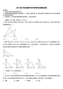 2025届广西壮族柳州市中考数学全真模拟试卷含解析