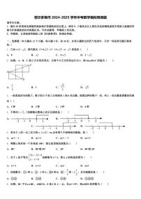 鄂尔多斯市2024-2025学年中考数学模拟预测题含解析