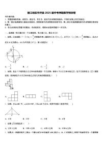丽江地区华坪县2025届中考押题数学预测卷含解析