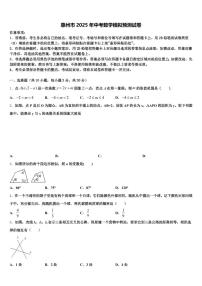 惠州市2025年中考数学模拟预测试卷含解析
